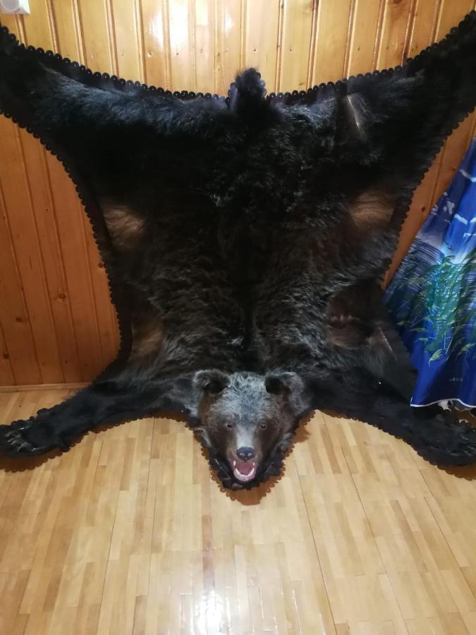 Casa Alesi Villa Dragoslavele Luaran gambar