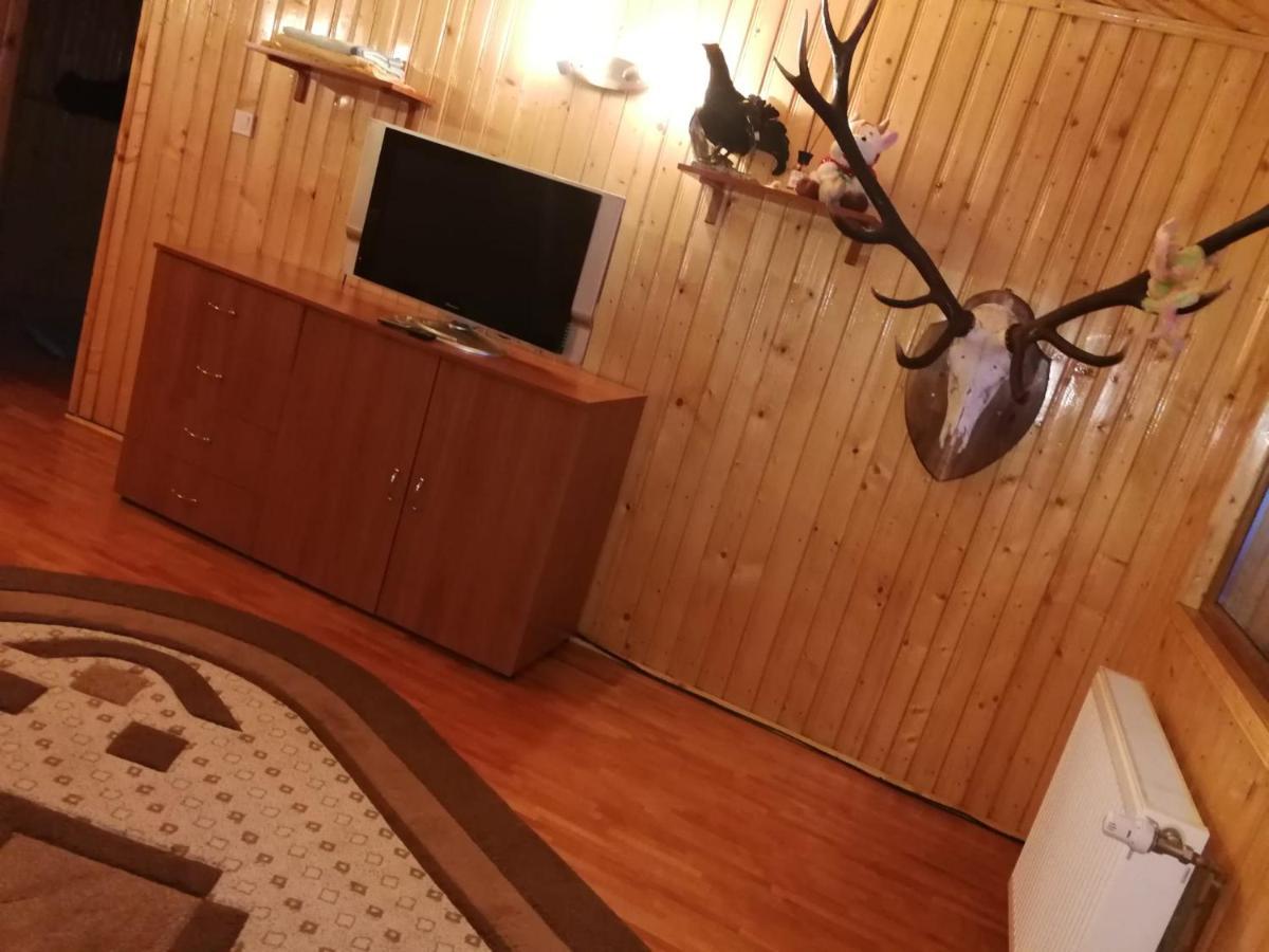 Casa Alesi Villa Dragoslavele Luaran gambar